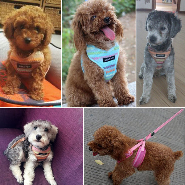 Small and Medium-sized Dog Colored Fleece Corset