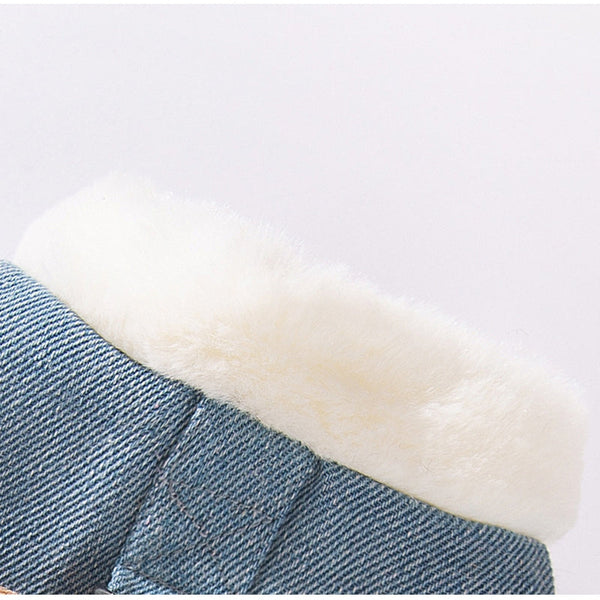 Autumn And Winter Korean-style Dog Pocket Three-dimensional Bear, Denim Towing Vest, Cat Cotton Coat, Warm Pet Dog Clothes