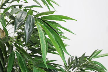 7FT artificial willow tree indoor faux greenery plant by HouseOfZazla with lush green leaves and realistic trunk.