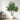 7ft artificial willow tree indoor faux greenery plant with lush green leaves, from HouseOfZazla, ideal for home or office decor.