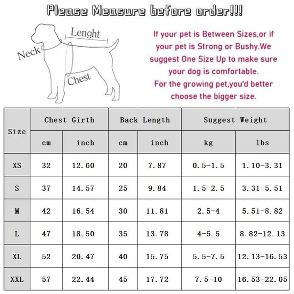 Autumn And Winter Korean-style Dog Pocket Three-dimensional Bear, Denim Towing Vest, Cat Cotton Coat, Warm Pet Dog Clothes