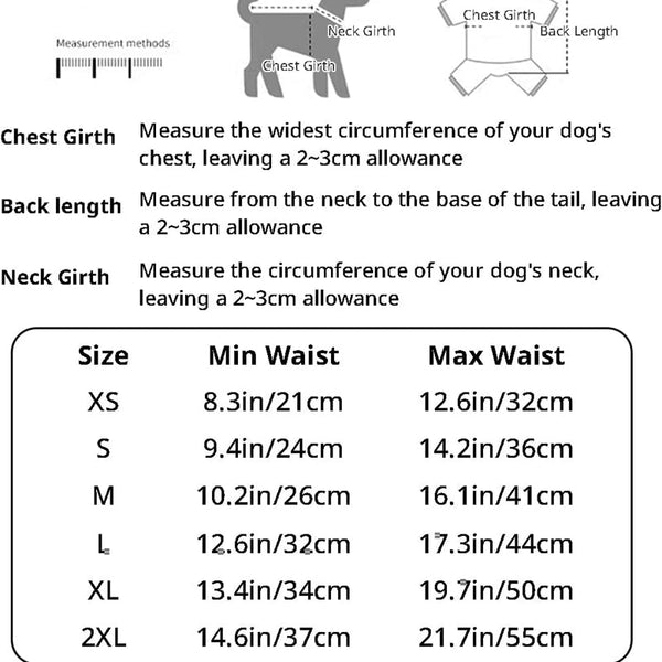 New Washable Dog Physiological Pants Leakproof Cartoon Dog Menstrual Pants Reusable Breathable Pet Diaper Pet Supplies