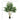 7-foot artificial Willow Tree indoor faux greenery plant by HouseOfZazla with lush green leaves and realistic trunk.
