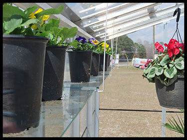 Janco greenhouse glass shelves with four bays on one side, ideal for plant storage and greenhouse organization.