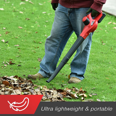 PowerSmart 20V cordless leaf blower with two batteries and charger, handheld garden tool for clearing leaves and debris.