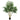 7-foot artificial willow tree from HouseOfZazla, indoor faux greenery plant with lush green leaves and realistic trunk.