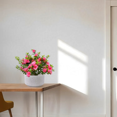 Two milk white ceramic flowerpots from HouseOfZazla's 2-piece set, featuring smooth, rounded design suitable for indoor plants.