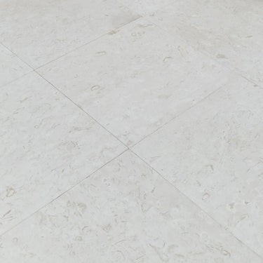 Shell Stone White Limestone Tiles Floor and Wall Tile