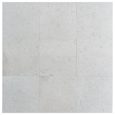 Shell Stone White Limestone Tiles Floor and Wall Tile